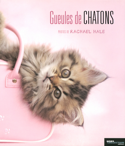 GUEULES DE CHATONS