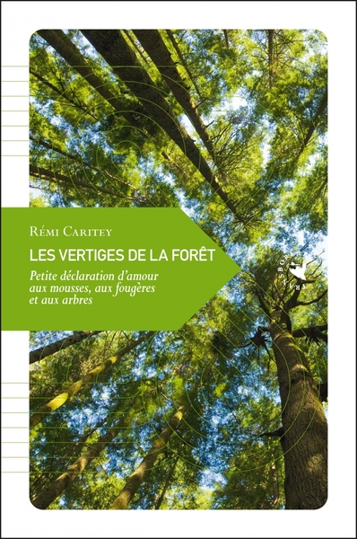 VERTIGES DE LA FORET