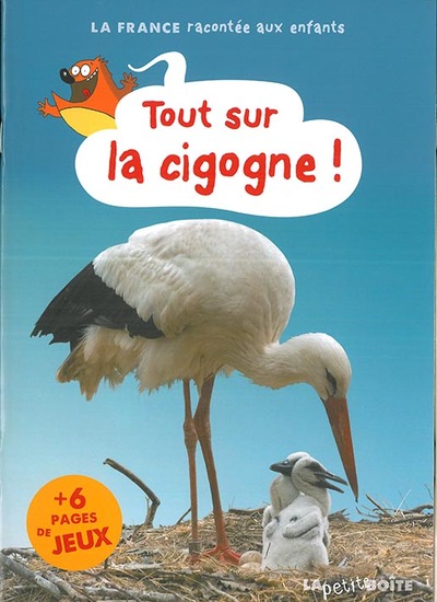 TOUT SUR LA CIGOGNE! L ALSACE
