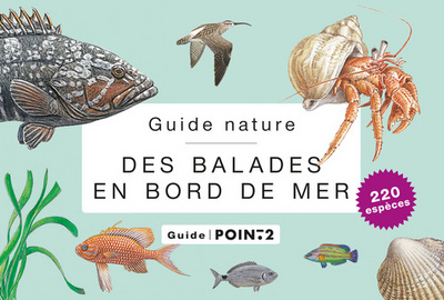 GUIDE NATURE DES BALADES EN BORD DE MER