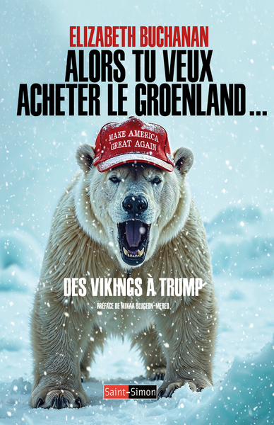 ALORS TU VEUX ACHETER LE GROENLAND... - DES VIKINGS A TRUMP