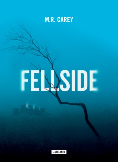 FELLSIDE