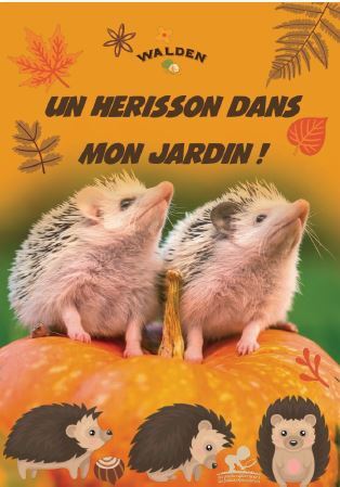 HERISSON DANS MON JARDIN