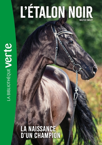 L´ETALON NOIR (NOUVELLE EDITION), TOME 19 - LA NAISSANCE D´UN CHAMPION