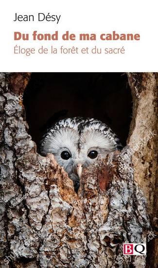 DU FOND DE MA CABANE. ELOGE DE LA FORET ET DU SACRE
