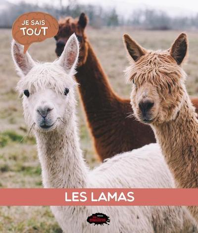 LAMAS