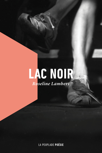 LAC NOIR - ILLUSTRATIONS, COULEUR