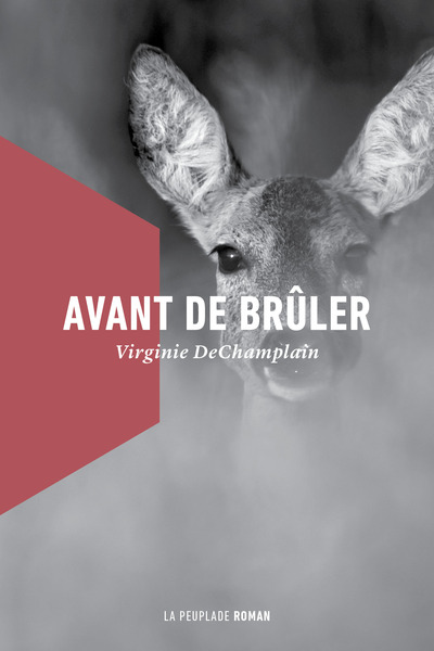 AVANT DE BRULER