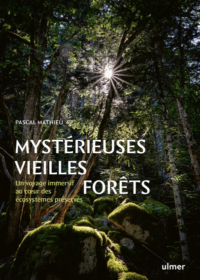 MYSTERIEUSES VIEILLES FORETS - UN VOYAGE IMMERSIF AU COEUR DES ECOSYSTEMES PRESERVES