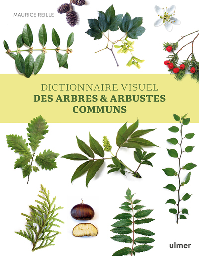 DICTIONNAIRE VISUEL DES ARBRES ET ARBUSTES COMMUNS