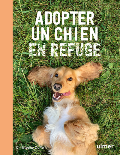 ADOPTER UN CHIEN EN REFUGE