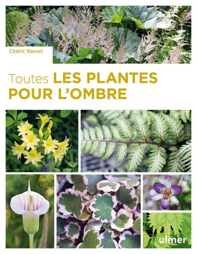 TOUTES LES PLANTES POUR L´OMBRE