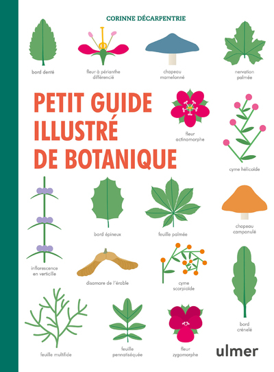 PETIT GUIDE ILLUSTRE DE BOTANIQUE