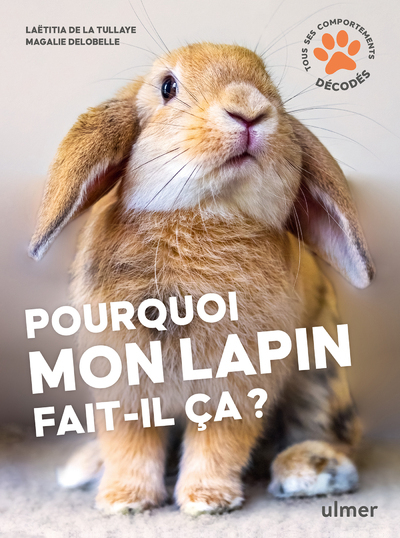 POURQUOI MON LAPIN FAIT-IL CA ?