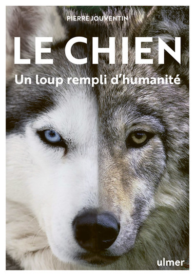 CHIEN, UN LOUP REMPLI D´HUMANITE