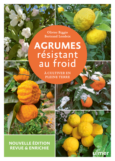 AGRUMES RESISTANT AU FROID