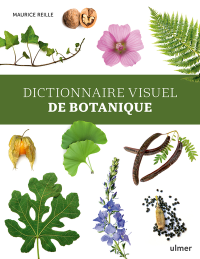 DICTIONNAIRE VISUEL DE BOTANIQUE