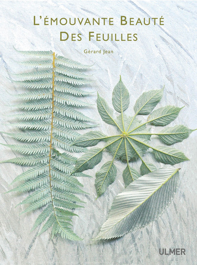 L´EMOUVANTE BEAUTE DES FEUILLES