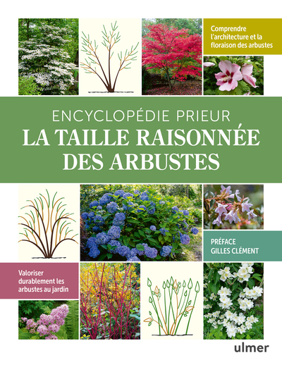 ENCYCLOPEDIE PRIEUR - LA TAILLE RAISONNEE DES ARBUSTES