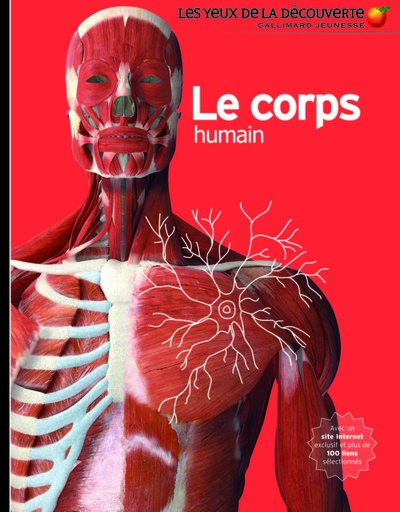 CORPS HUMAIN  26