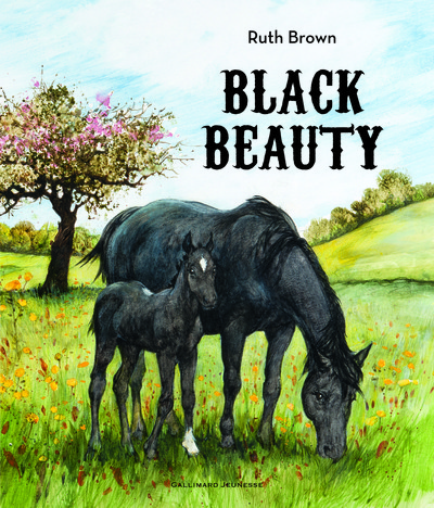BLACK BEAUTY