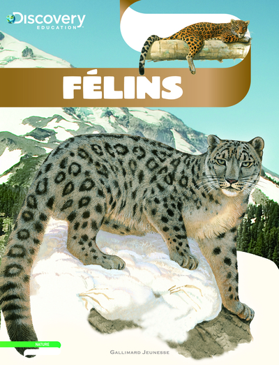 FELINS