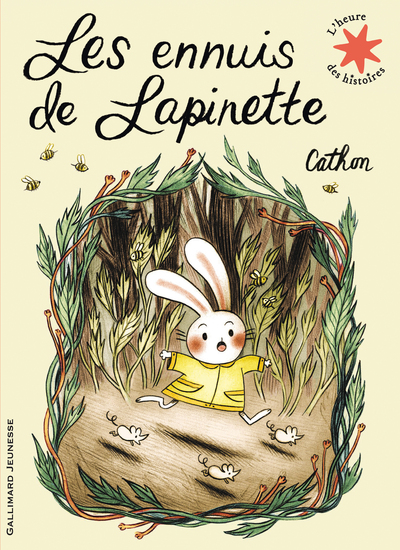 ENNUIS DE LAPINETTE
