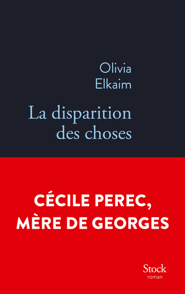 LA DISPARITION DES CHOSES