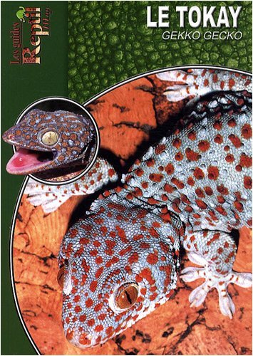 TOKAY