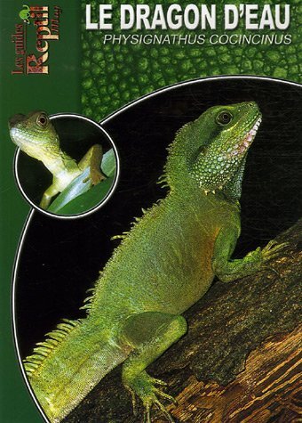 DRAGON D´EAU - GUIDE