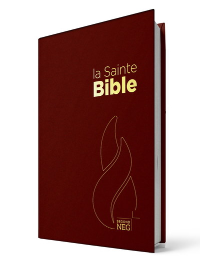 BIBLE NEG COMPACT RIGIDE GRENAT RIGIDE