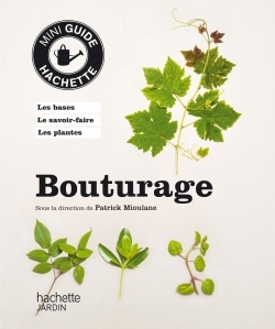 BOUTURAGE MINI GUIDE HACHETTE