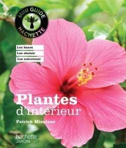 PLANTES D´INTERIEUR