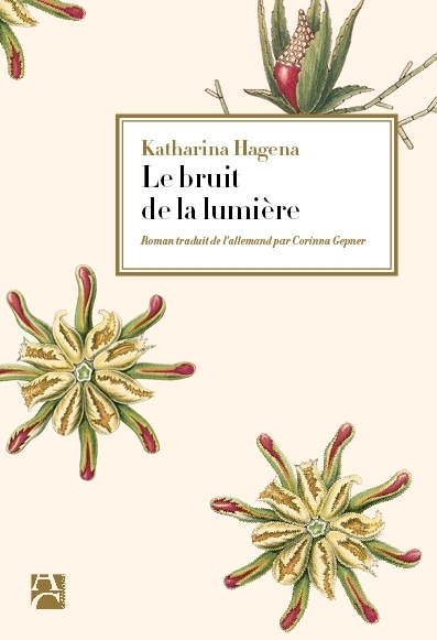 BRUIT DE LA LUMIERE