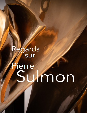 REGARDS SUR PIERRE SULMON