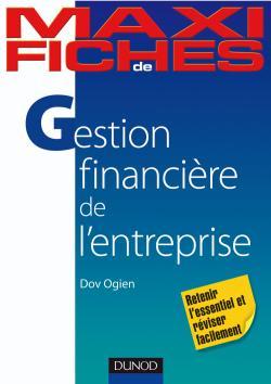 MAXI FICHES DE GESTION FINANCIERE DE L´ENTREPRISE - 2E EDITION