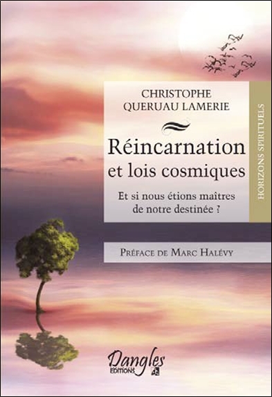 REINCARNATION ET LOIS COSMIQUES - ET SI NOUS ETIONS MAITRES DE NOTRE DESTINEE ?