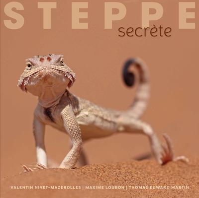 STEPPE SECRETE