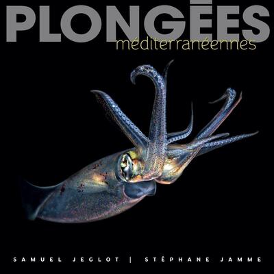 PLONGEES MEDITERRANEENNES