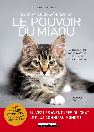 CHAT DU DALAI - LAMA T3 - POUVOIR DU MIAOU