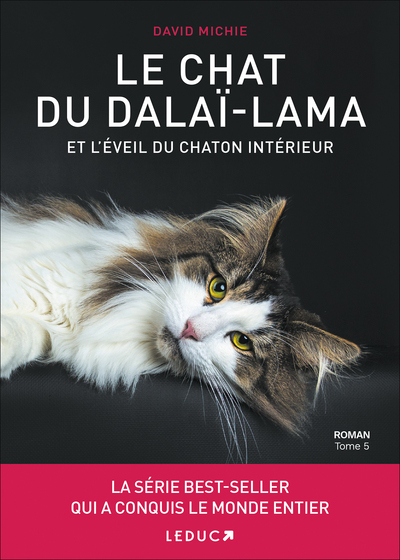 CHAT DU DALAI - LAMA ET L´ EVEIL DU CHATON INTERIEUR