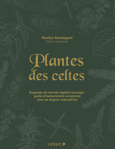 PLANTES DES CELTES - SAGESSES DU MONDE VEGETAL SAUVAGE : GUIDE D´HERBORISTE