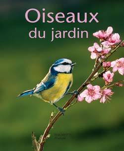 OISEAUX DU JARDIN - 14