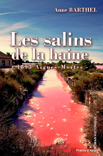 SALINS DE LA HAINE