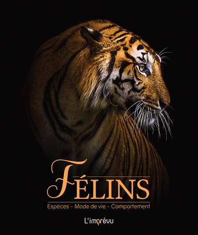 FELINS