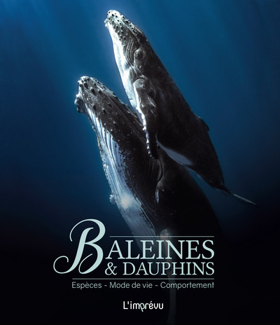 BALEINES ET DAUPHINS