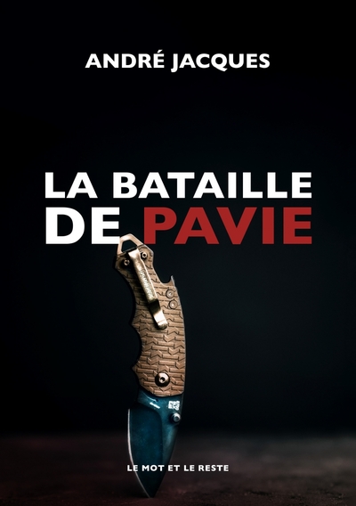 BATAILLE DE PAVIE