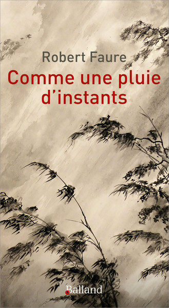 COMME UNE PLUIE D´INSTANTS