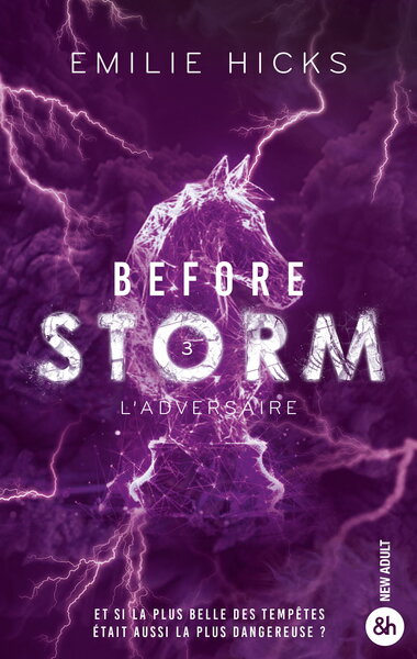 BEFORE STORM - T3 : L´ADVERSAIRE - LE FINAL EXPLOSIF DE LA ROMANCE POLITIQUE AUX 3 MILLIONS DE LECTU