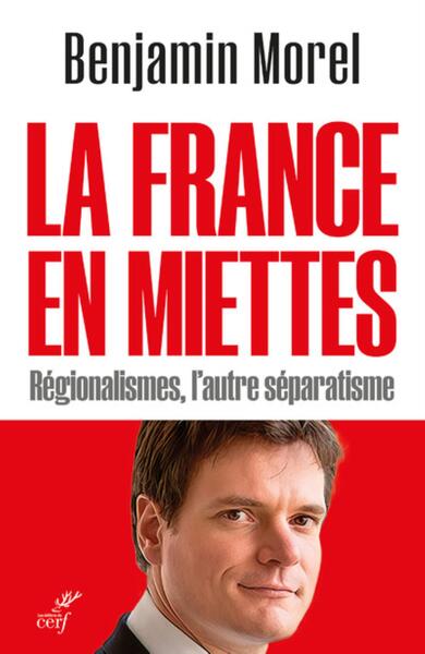 FRANCE EN MIETTES - REGIONALISMES, L´AUTRE SEPARATISME